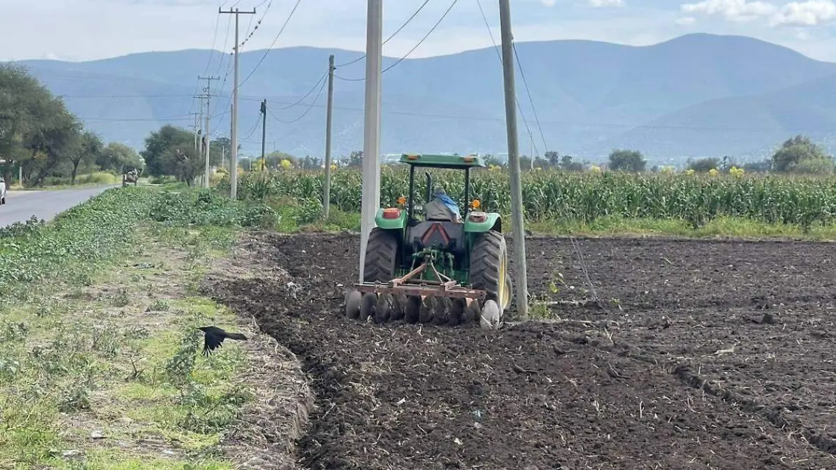 siembre en Tehuacan